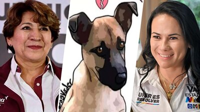 Pidieron que se castigue al responsable