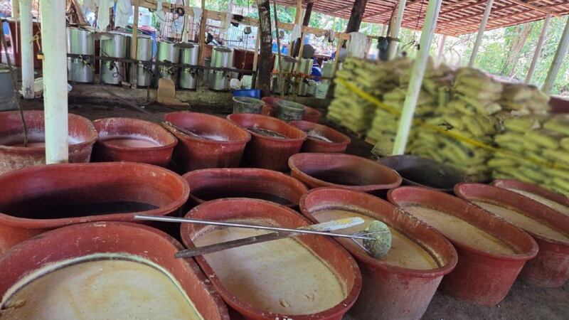Fuerzas Armadas decomisan 2.5 toneladas de metanfetaminas en Chiapas y Guerrero