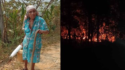 La población mazateca enfrenta una fuerte sequía, que incluso ha hecho que el agua para beber sea muy escasa