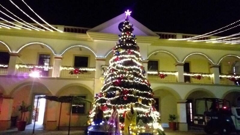 Árbol de Navidad con palma de coco desata burlas en Veracruz; resultado final es sorprendente
