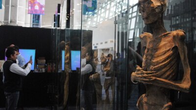 El INAH dijo que por lo menos una de las momias presenta indicios de proliferación de colonias fúngicas