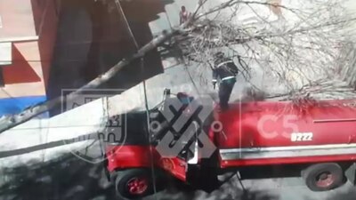 Ráfagas de viento tiran árboles y espectaculares en la CDMX