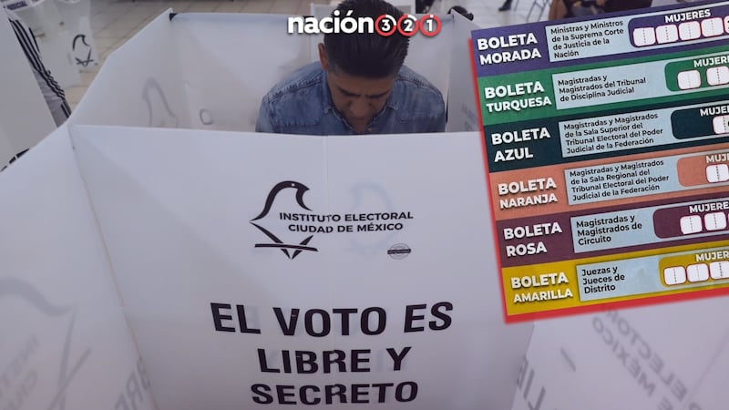 ¿Es ilegal llevar acordeón a la Elección Judicial?