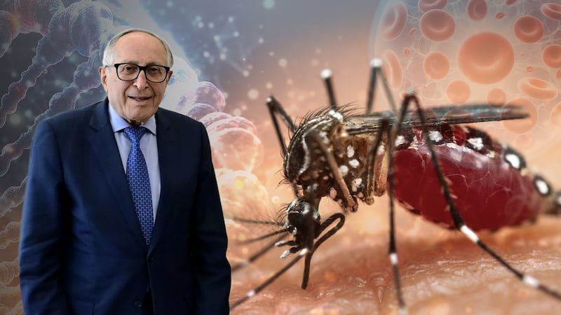 Repunte de dengue en México: alertan sobre síntomas, tratamiento y plan de contención