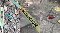 Envenenan a perros en Parque España; reportan tres muertos y otros en estado delicado