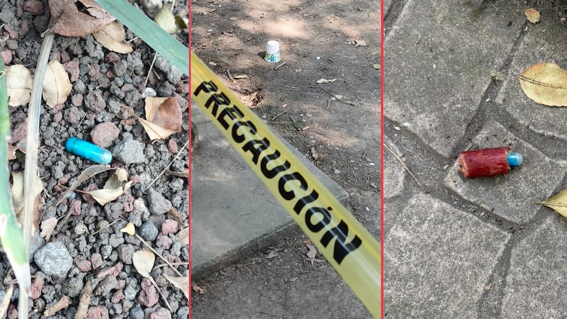 Envenenan a perros en Parque España; reportan tres muertos y otros en estado delicado
