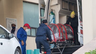 La COVID-19 ha provocado millones de muertes en todo el mundo, los sobrevivientes presentan graves secuelas