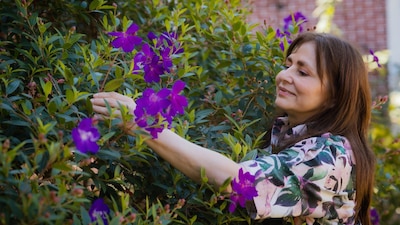 Rosalinda era virtual candidata electa al Senado
