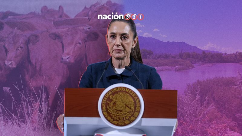 Tratos con EU: ¿Qué acordó Sheinbaum respecto al agua y el gusano barrenador?