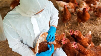 Algunas personas infectadas pueden no experimentar síntomas