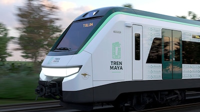 Con el programa Sembrando Vida se han plantado más de 142 millones árboles maderables en el tramo 5