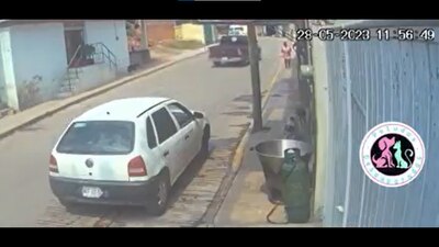 Peludos Desamparados” difundió el caso y exige a las autoridades castigar el cruel hecho