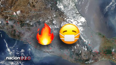 Los incendios forestales afectan al sur y centro del país