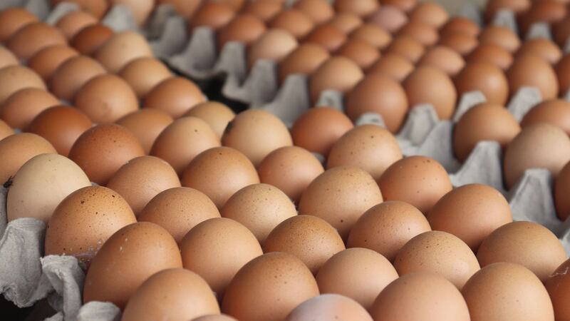 Precio del huevo alcanza nuevo récord en EU, pese a baja en brotes de gripe aviar