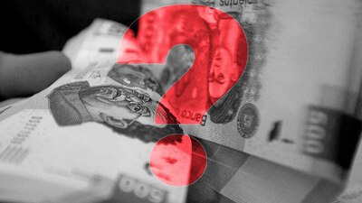 Eso es lo que gana uno de estos políticos