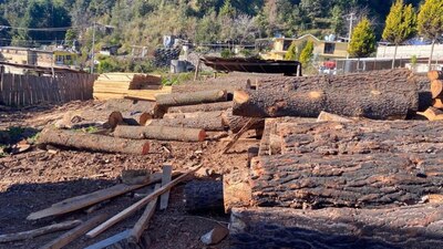 Las autoridades aseguraron documentos y materiales que se utilizaban ilegalmente