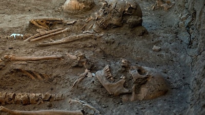 Los cuerpos fueron inhumados durante el primer siglo tras la caída de México-Tenochtitlán