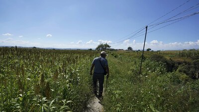 Suman cerca de 100 mil desaparecidos en México
