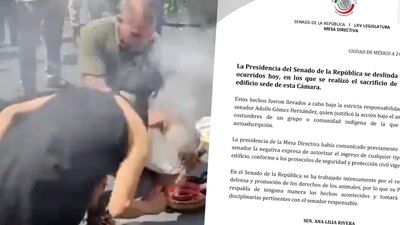 El sacrificio se hizo como parte de un evento organizado por el legislador morenista Adolfo Gómez