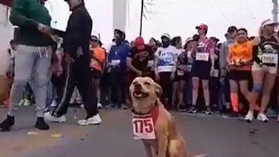 'Chicles' le da un plus a las competencias ya que se ha vuelto viral