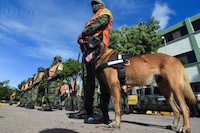Detectan con binomios caninos a 35 diputados que portan armas en San Lázaro