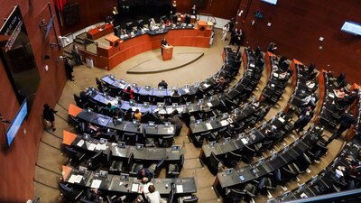 Discuten los artículos reservados en lo particular