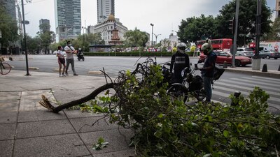 Los fuertes vientos derribaron árboles y postes en la capital del país