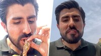 "No vengan": Influencer critica taquería El Califa de León con estrella Michelin
