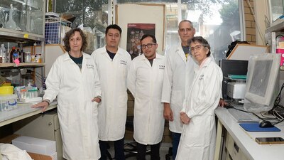 Los investigadores siguen haciendo pruebas de la molécula
