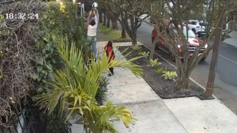 VIDEO: Mujer intenta robar mansión en Las Lomas; golpea y muerde a policías que la detuvieron