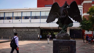 También se han reportado brotes de chinches