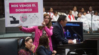 Este 26 de febrero se realizará la segunda movilización en favor del INE, por parte de sectores 'opositores'