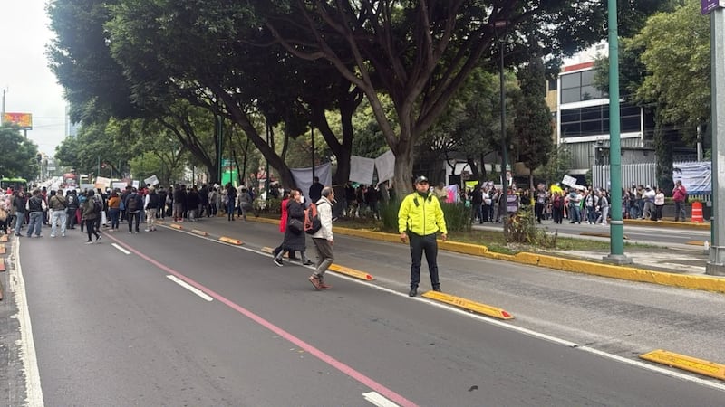 ¿Qué pasa en Insurgentes Sur, a la altura de San Ángel? Reportan bloqueos e intensa carga vehicular
