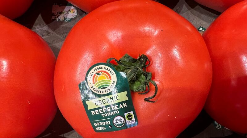 Arancel al tomate mexicano costará millones de dólares a estadounidenses