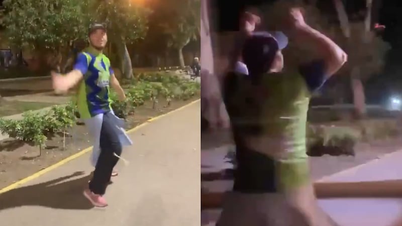 VIDEO: Árbol de más de 20 metros cae sobre grupo de zumba y deja al menos 17 heridos