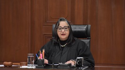 La ministra firmó que se limitaría la prestación de servicios del Instituto Federal de la Defensoría Pública.