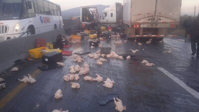 Ante el incidente, algunas personas optaron por bajar de sus vehículos y llevarse las cajas que contenían los pollos.