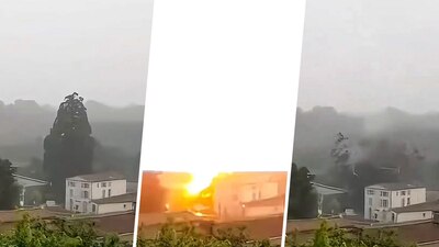 En un árbol que tenía más de 100 años de vida, en una comunidad de Francia