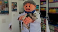 Conoce a la ‘Dra. Lares’, la tierna compañera del ‘Dr. Simi’ que atenderá a mascotas