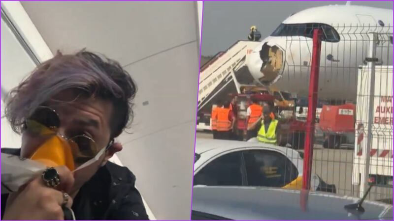 VIDEO: Avión que iba a Paris regresa de emergencia tras chocar con un buitre