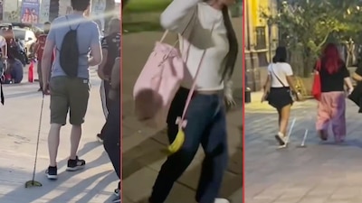 ¿Pasear un plátano como mascota? esto hay detrás de la peculiar tendencia en calles de Morelia