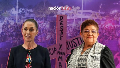 La propuesta fue presentada este martes en Palacio Nacional