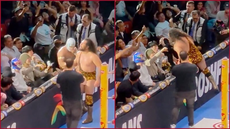 VIDEO: captan a integrantes de BTS disfrutando de la lucha libre en CDMX
