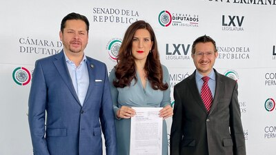 Fundamentaron la denuncia en los artículos 109, 110 y 114 de la Constitución mexicana
