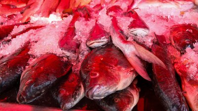 Los precios han subido en comparación a los del año pasado