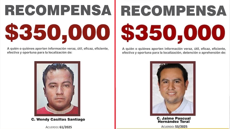 Fiscalía de Veracruz ofrece recompensa por el influencer Jaime Toral, hombre que grababa videos con ‘Doña Lety’