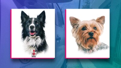 El sospechoso del envenenamiento fue detenido este lunes en Querétaro