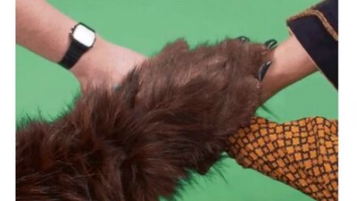 ¿El IMSS también defiende los derechos sexuales de los animales?