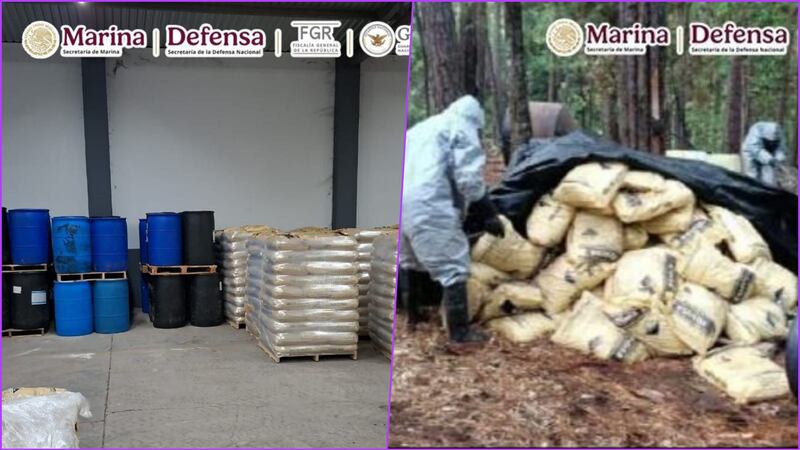 Aseguran 5 laboratorios clandestinos de metanfetamina en Michoacán