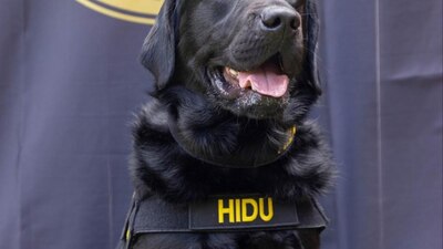 El caso del pedófilo internacional era el primero en el que participaba Hidu